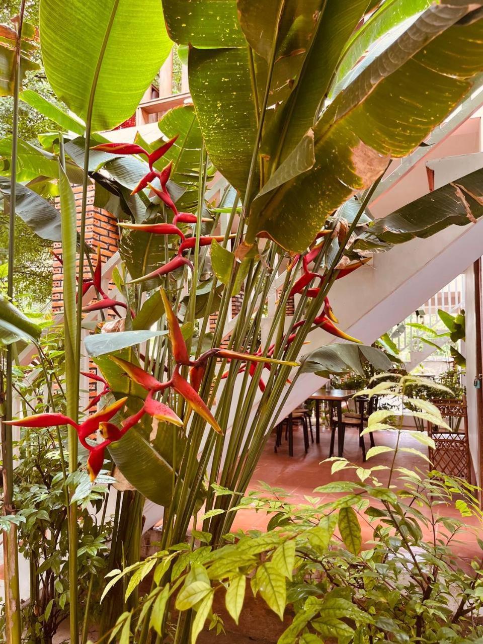 Coconut Lodge Kampot Extérieur photo