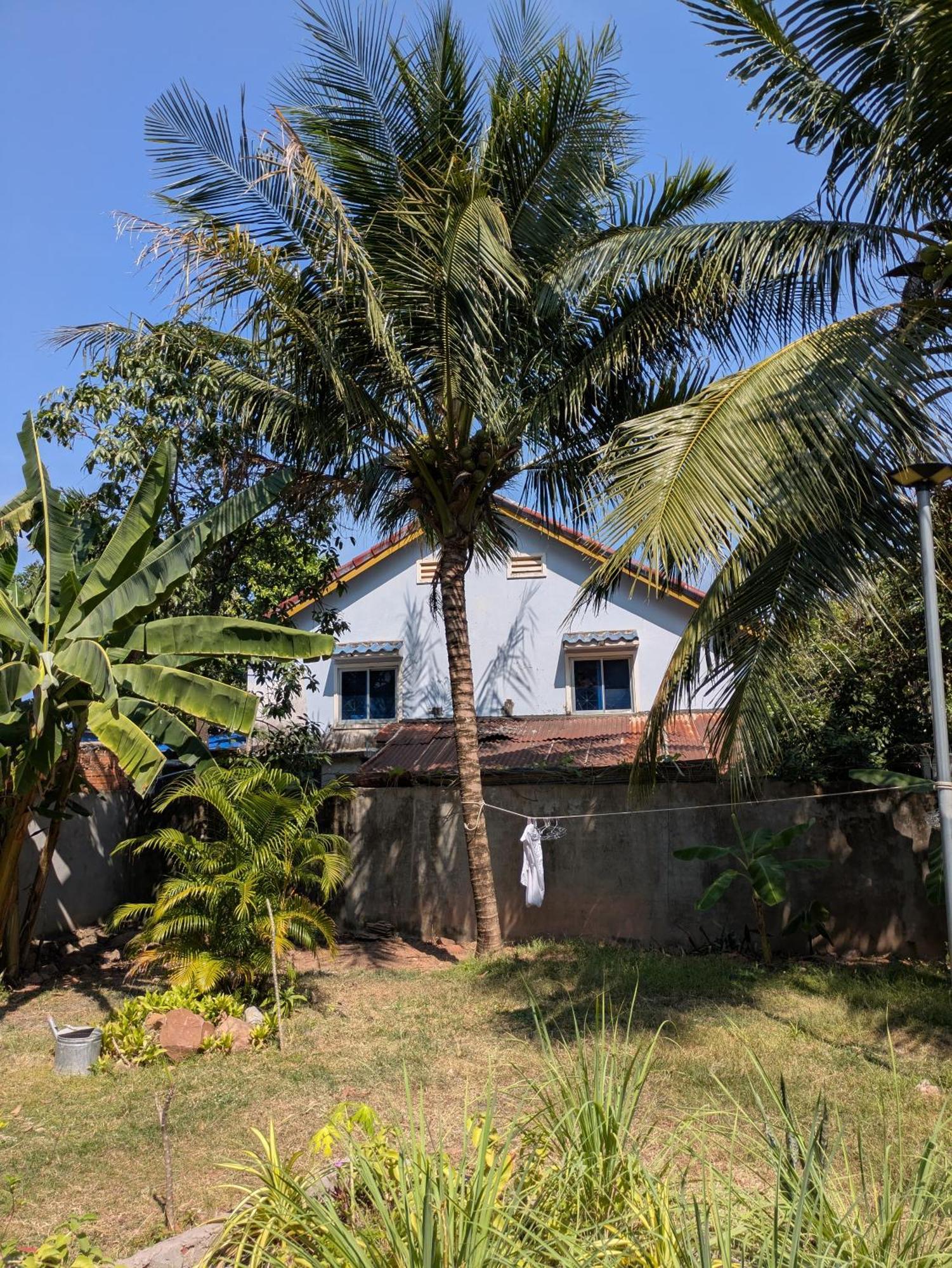 Coconut Lodge Kampot Extérieur photo