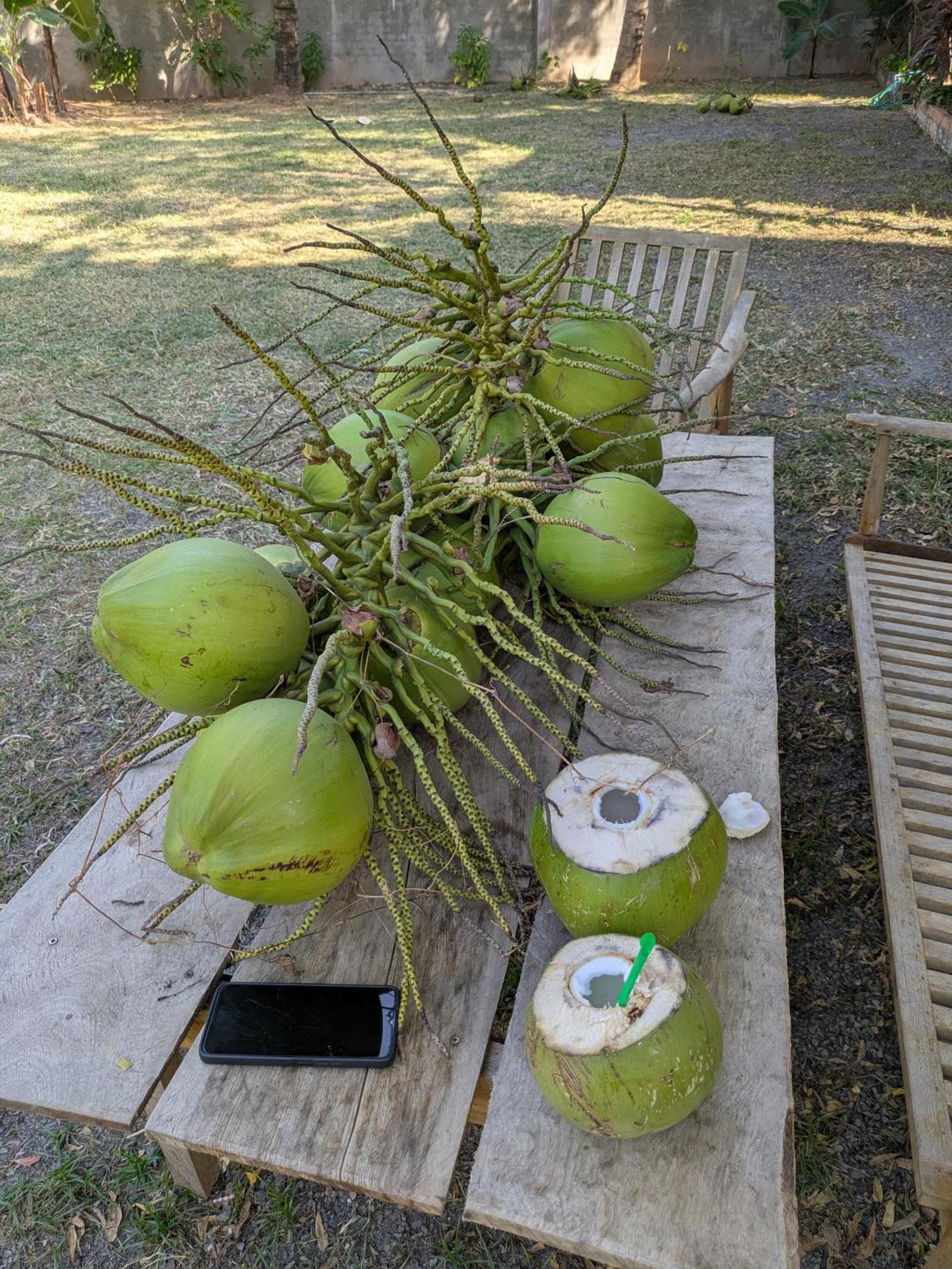 Coconut Lodge Kampot Extérieur photo